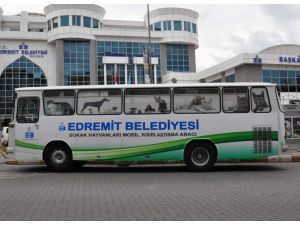 Edremit’te Seyyar Mobil Hayvan Hastanesi Hizmete Girdi