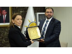 Ak Parti Genel Başkan Yardımcısı Çalık Batmanda