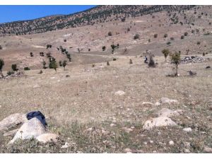 Siirtli Yatırımcı Güneşten Elektrik Üretecek