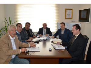 Ayvalık’ta 10. Uluslar Arası Zeytin Hasat Günleri