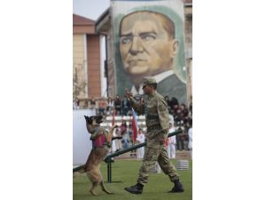 Cumhuriyet Bayramı Kutlamalarına Jandarmanın Eğitimli Köpekleri Damgasını Vurdu