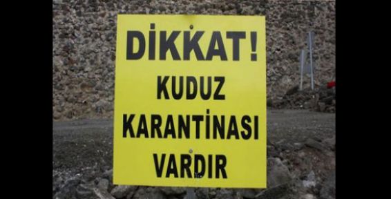 Mahallede Kuduz Karantinası