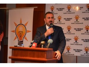 Gül: “Son Yaşananlar Çözüm Sürecinin Başarısını Gösteriyor”