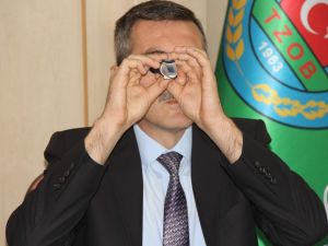 Kivi Hasat Tarihi Belirlendi