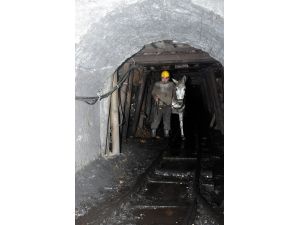 Madenin Emektar Katırları Üretime Katkı Sağlıyor