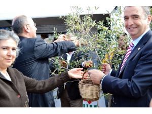 Ayvalık’ta Uluslararası Hasat Günleri