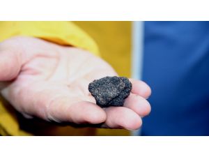 Siyah Elmas Samsunda Aranıyor