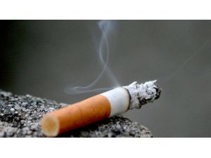 Her Yıl Bir Milyon Kişiyi Öldürüyor
