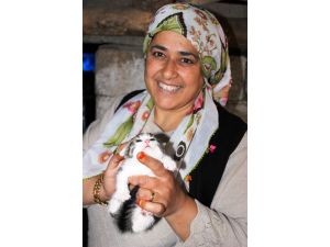 (Özel Haber) 41 Yaşında 41 Tane Kedisi Var