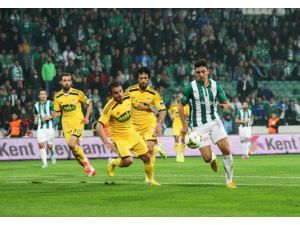 Timsah Çok Farklı