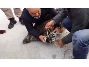 Bu Haber Denizden Babam Bile Çıksa Yerim Diyenler İçin