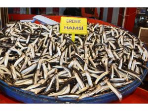 (Özel Haber) - Hamsinin Fiyatı Hava Durumuna Endeksli