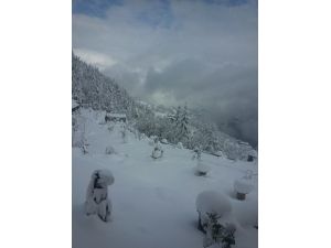 Artvin’de Kar Yağışı
