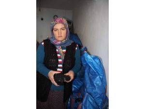 Kömür Nefreti Acıyı Anlattı