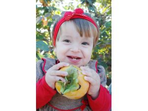 Cennet Elması Üreticinin Yüzünü Güldürüyor