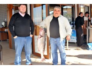 Marmarada 11.5 Kiloluk Minekop Balığı Yakalandı