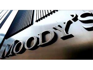 Notun Kısa Vadade Artması Olası Değil