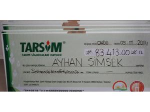 Tarsim Orduda Hasar Ödedi