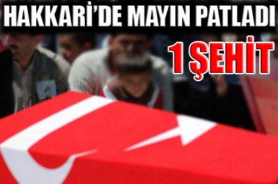 Hakkaride mayın patladı