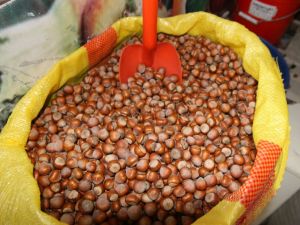 Cörüt: “Üreticiyi Paniğe Soktular”