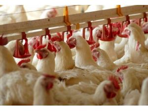 2025 İhracat Hedefi 2,6 Milyar Dolar