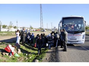 Siverekte Bulunan 250 Suriyeli Çocuğa Eğitim