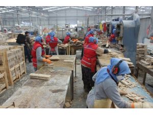 Mermere Kadın Eli Değildi