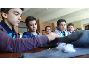 Kedilere Kazaktan Yatak