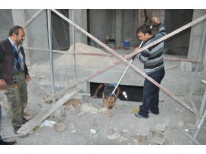 İnşaatın Bodrum Katına Düşen Köpeği İtfaiye Kurtardı