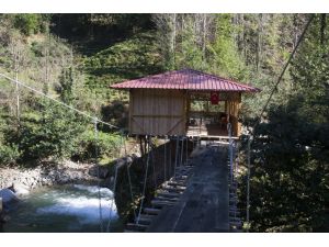 Rizenin İlginç Yapıları Bitmiyor