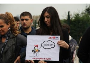 Chp’lilerden Zeytin Ağaçlı Eylem