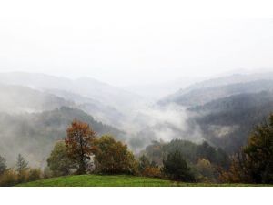 Bir Doğa Harikası