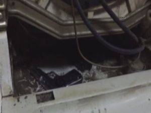 Bonzaiyi Kanalizasyon Borusuna Sakladılar