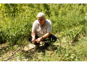 (Özel Haber) Güneş Enerjisinden Ürettiği Elektrikle Tarım Arazini Suluyor