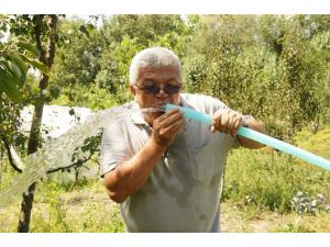Güneş Enerjisiyle Tarım Arazini Suluyor
