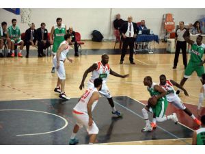 Türkiye Basketbol 2. Ligi