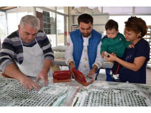 Zeytin Lokumuna Büyük İlgi