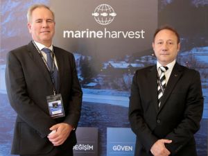 Dünyanın En Büyük Somon Üreticisi Türkiye Pazarında