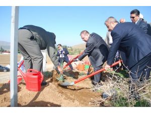 Ogm Thy Ormanı Kuruldu