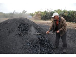 Mangalların Vaz Geçilmezi Kömürün Meşekkatli Yolculuğu