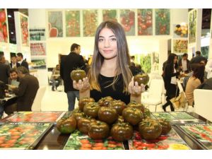 Türkiye Tarım Sektörü Growtech Eurasıa Da Buluşuyor