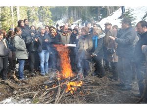 Artvin Cerattepe’de Maden Sahasında Ağaç Kesimine Tepki Eyleme Dönüştü