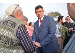 Baro Başkanı Feyzioğlu, Köylülerle Birlikte Zeytin Ağacı Dikti