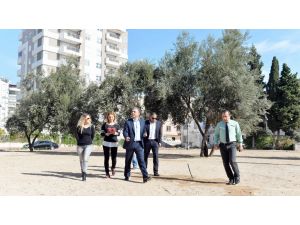 Soma Yırca Köylülerine İthafen Zeytin Park