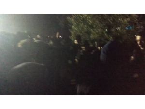 İşte Zeytinlik Alanındaki Gerilimin Yeni Görüntüleri