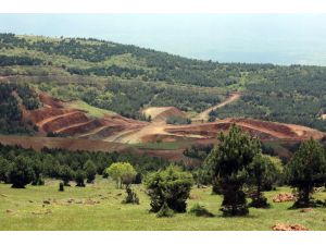 Nikel Tesisi İçin Çed Raporu Onaylandı