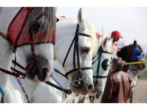 Erzurum’da Cirit Turnuvası Start Aldı