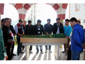 Tünel İnşaatında Ölen İşçi Fındığı Don Vurunca Çalışmaya Rizeye Gitmiş