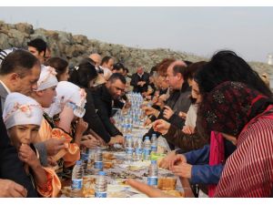 Yedikleri Hamsiyi Horonla Erittiler