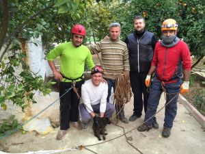 Yavru Köpek İçin Hayata Dönüş Operasyonu